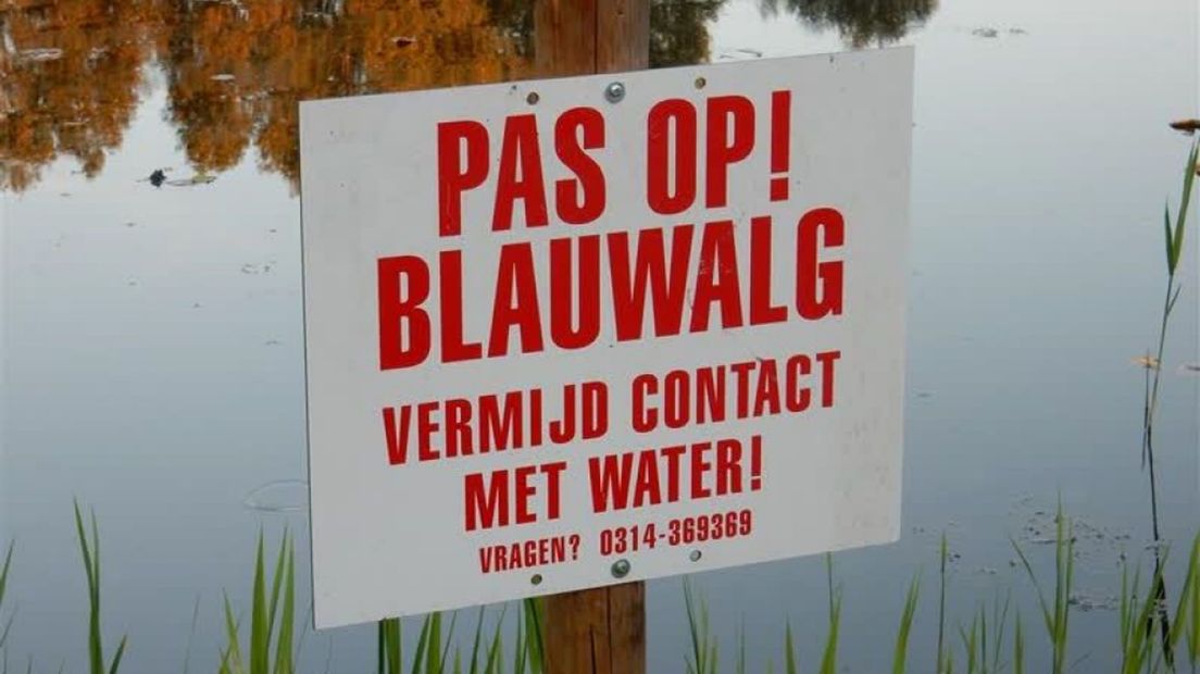 Toename aantal locaties met blauwalg in de Achterhoek