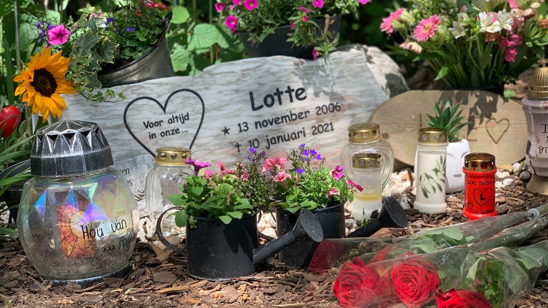 De gedenksteen voor de door geweld van het leven beroofde Lotte: "Op deze manier blijft ze in gedachten bij iedereen."