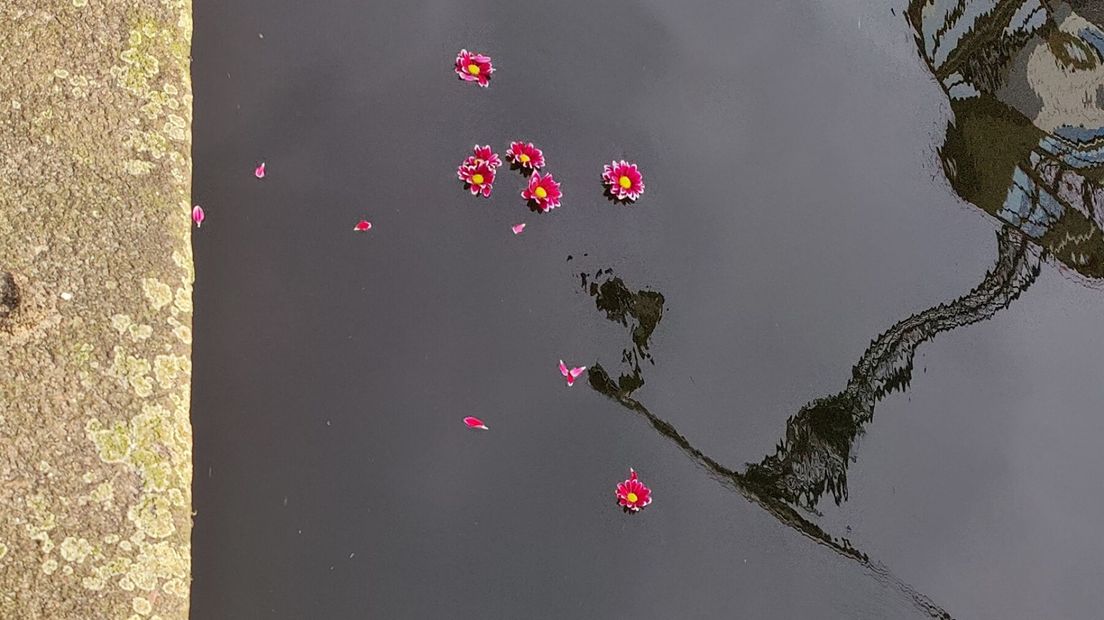 Bloemen in het water