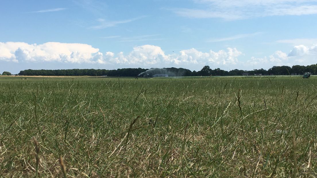 Queens Grass moet in ploegendiensten de graszoden beregenen.
(Rechten: RTV Drenthe/Marjolein Lauret)
