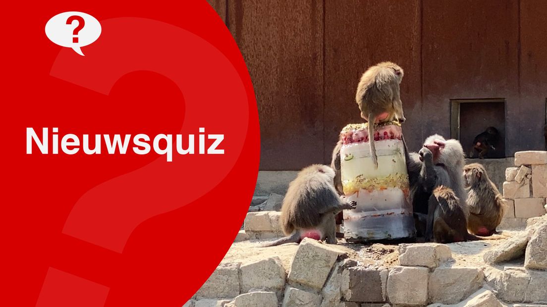 Wat weet jij van het nieuws van deze week? Maak de nieuwsquiz! - RTV Drenthe