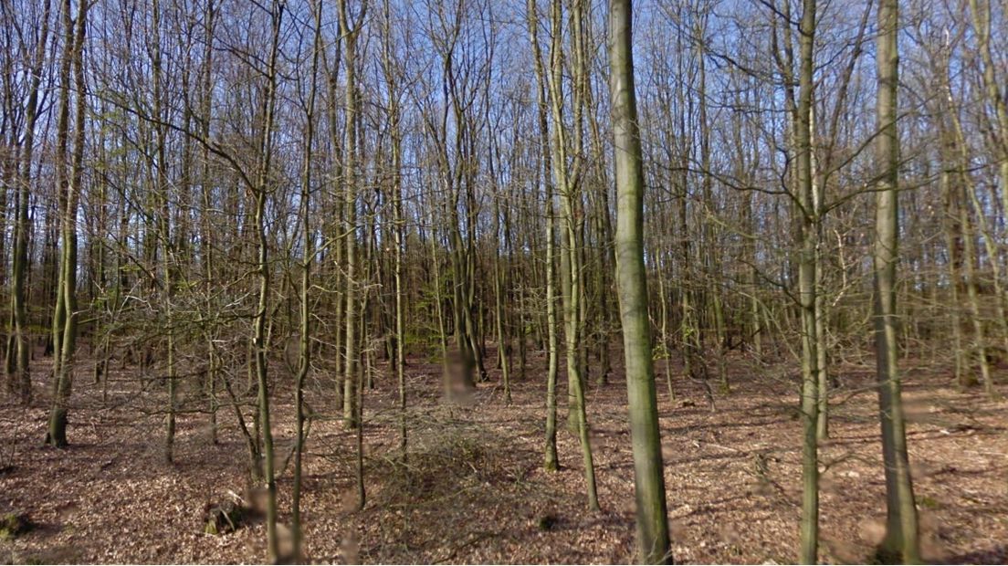 Raad Aa en Hunze tegen natuurbegraafplaats bij Grolloo (Rechten: archief RTV Drenthe)