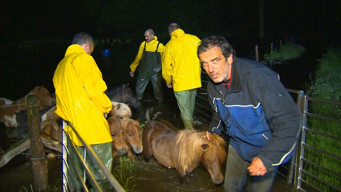 Brandweer Ommen redt 35 pony's uit het water