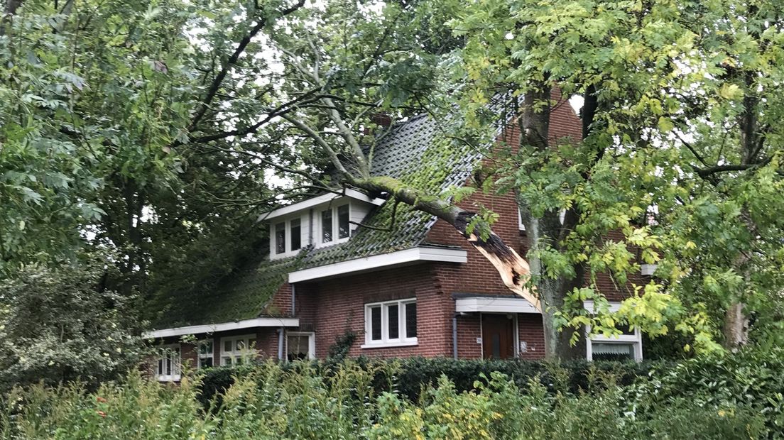 Een boom is op een huis gevallen aan de Veenweg in Stad