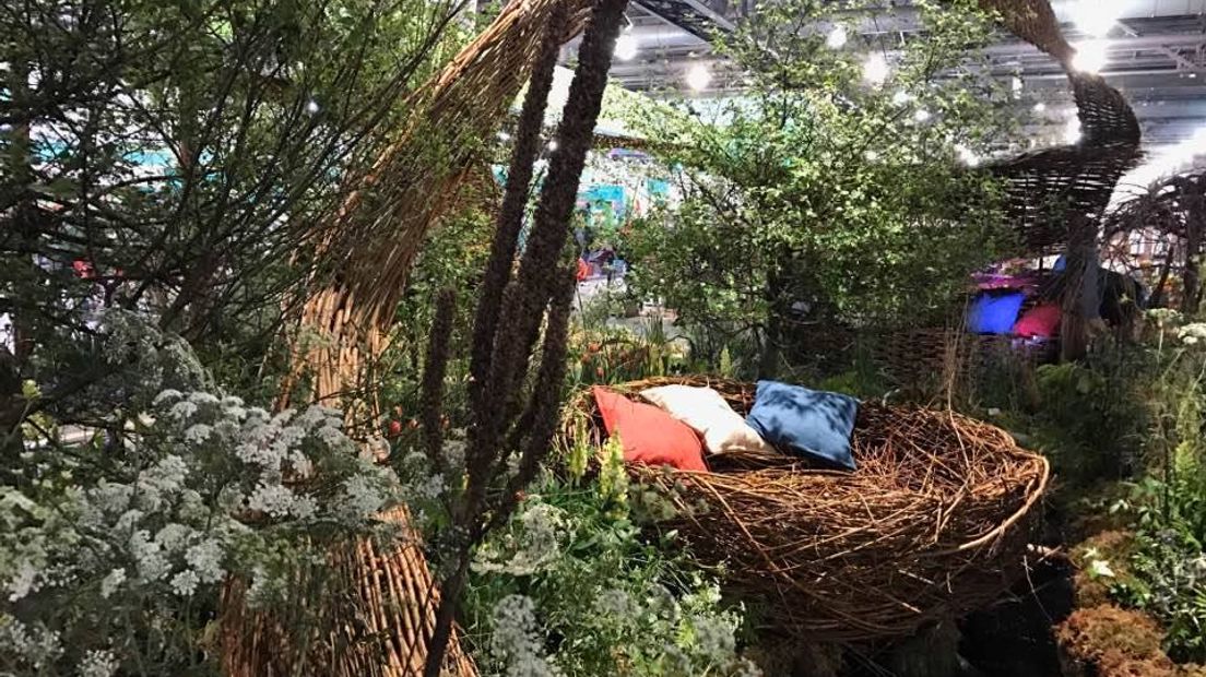 Nico Wissing uit Megchelen heeft deze week op de wereldberoemde bloemenshow in het Amerikaanse Philadelphia twee gouden medailles gewonnen. De Achterhoeker werd onder andere uitgeroepen tot beste landschapsarchitect.