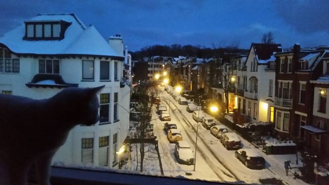 De sneeuwval van afgelopen nacht leidde tot verschillende problemen op wegen. Op de A15, A50,  A2 en A1 schaarden vrachtwagens. Het KNMI heeft code geel afgegeven voor onder meer Gelderland. Op sommige plekken is 10 centimeter sneeuw gevallen.