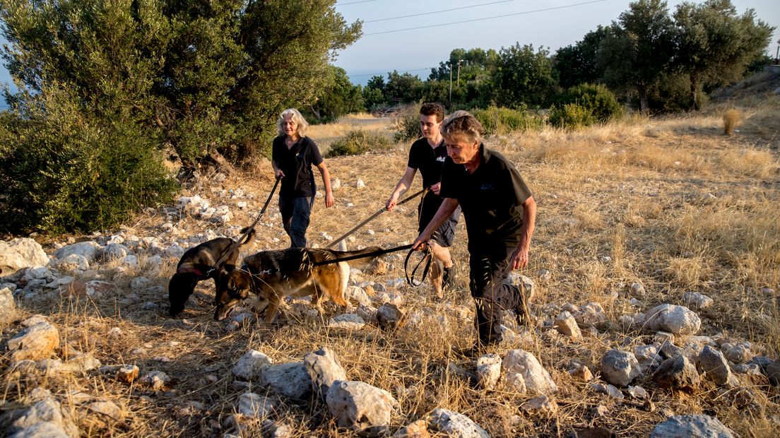De zoekhonden van Signi zijn onder meer ingezet bij de vermissing van Joey Hoffmann in Turkije.