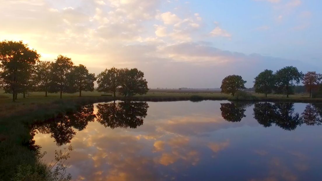 Wat is er dit weekend te