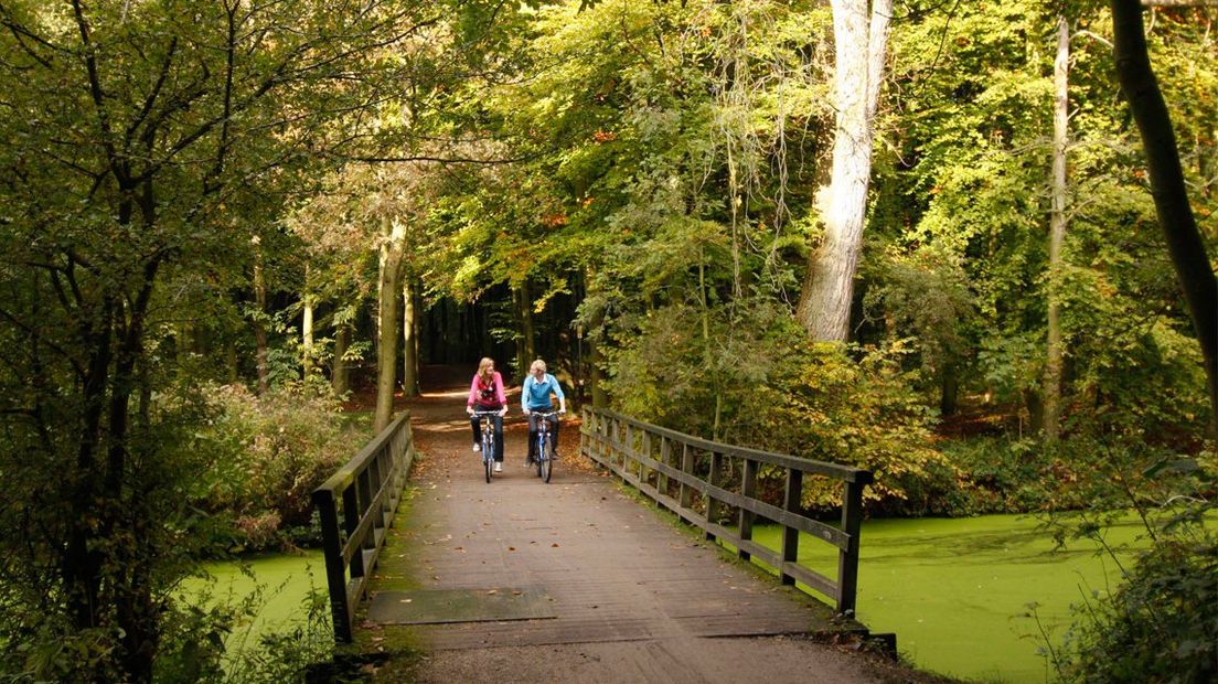 Fietsers in het Haagse Bos