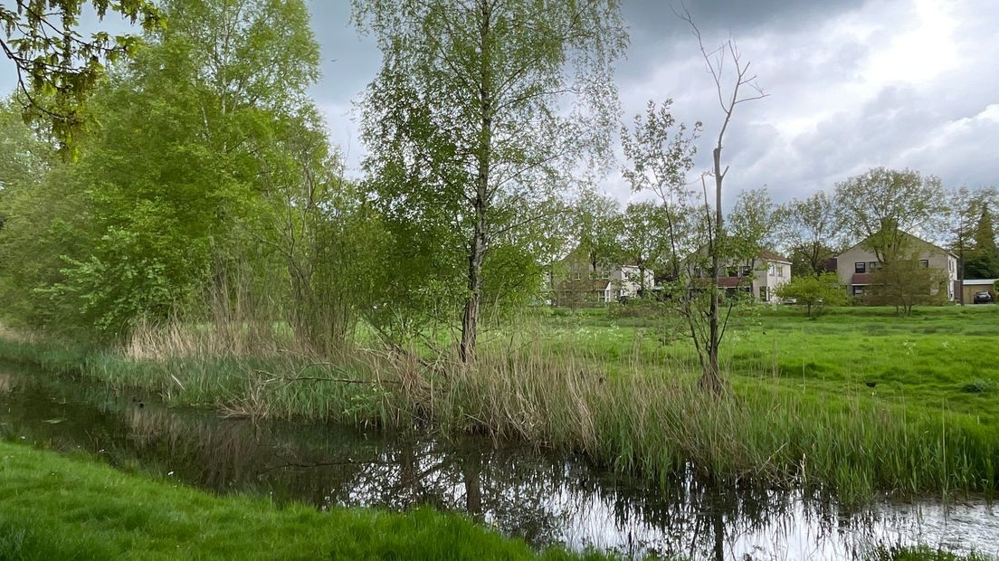 De Landjes in Marsdijk