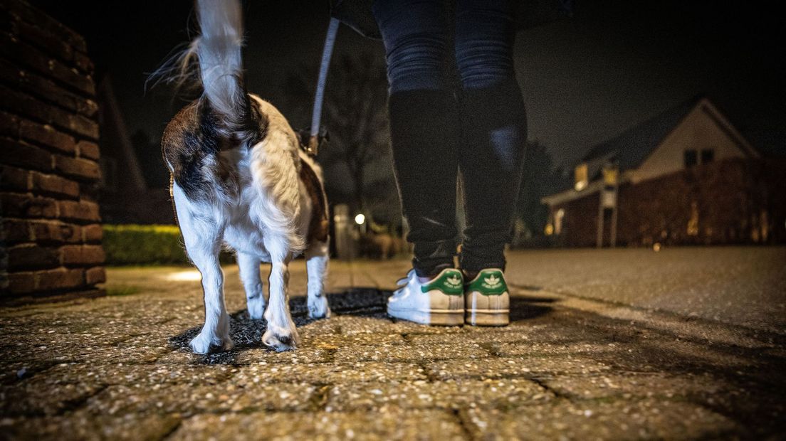 Met je hond mag je na 21.00 uur de straat nog op