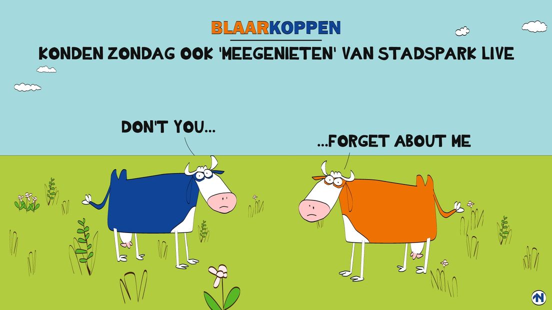 Blaarkoppen