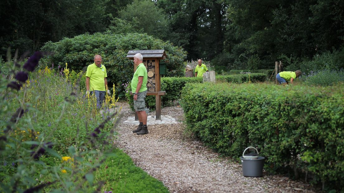 De vrijwilligers van de vlindertuin in Norg zetten nog snel de puntjes op de i voor de grote opening (Rechten: RTV Drenthe / Robbert Oosting)