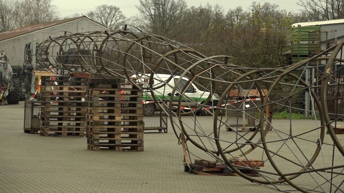 Het geraamte van de reusachtige midwinterhoorn.