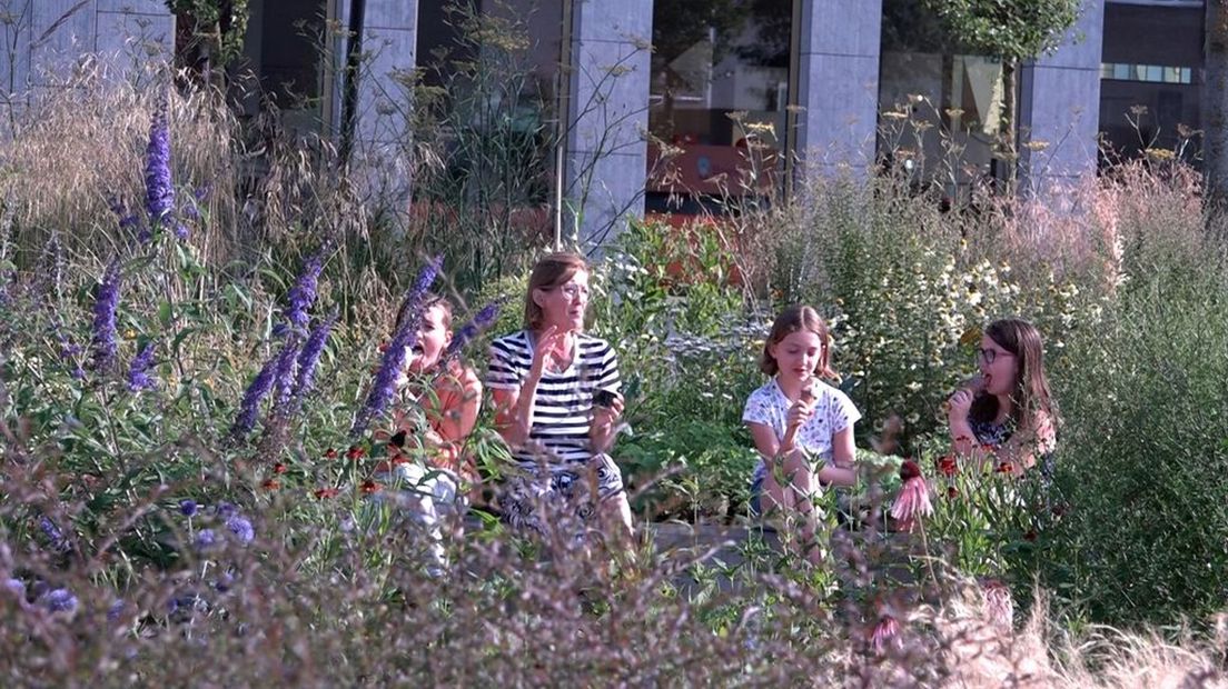 Genieten van een ijsje in de vlindertuin