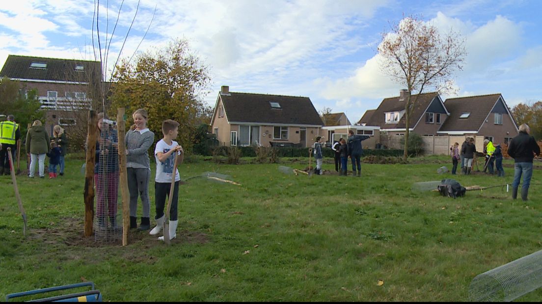 De elf bomen op het terrein moeten nog een paar jaar groeien