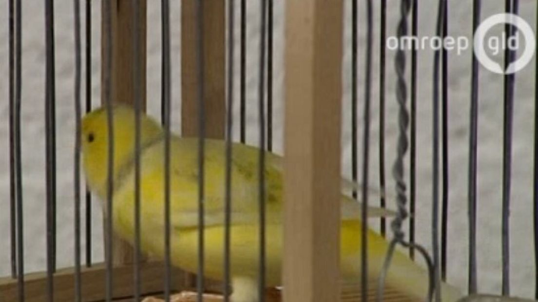 Vogelkweker Gerard Geerts uit Ulft mag zich Bondskampioen 2014 noemen.