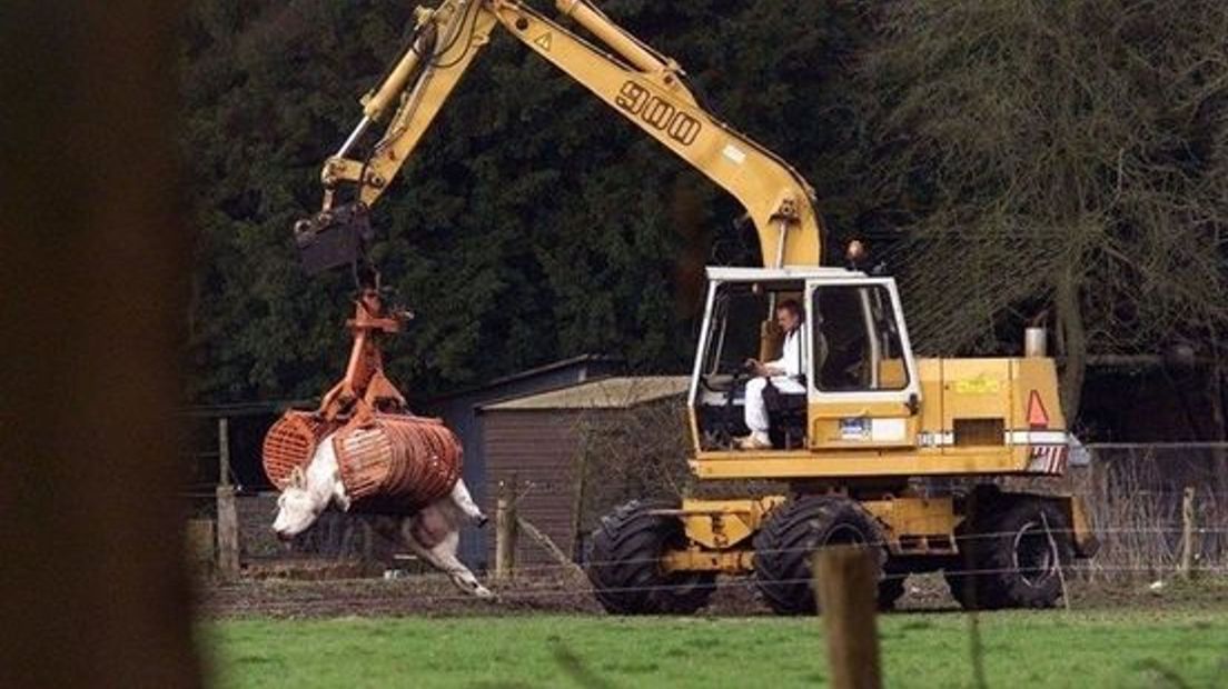 In Kootwijkerbroek werden ruim 60.000 dieren geruimd tijdens de MKZ-crisis in 2001.