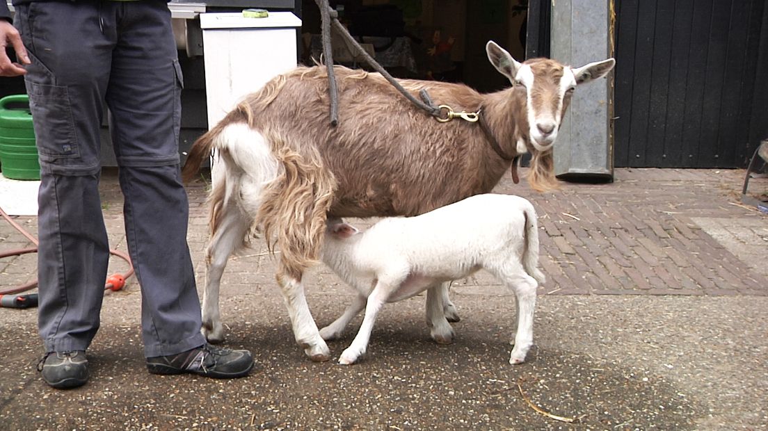 Moeder Jojanneke en dochter Tessel.