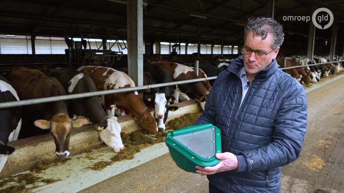 Het Doetinchemse bedrijf Hanskamp dingt deze week met het CowToilet mee naar een landelijke innovatieprijs. Een koe die naar het toilet gaat, dat klinkt grappig. Maar het is toch bloedserieus. Al jaren gaat het in Nederland over de uitstoot van schadelijk ammoniak door de veehouderij. Het koeientoilet biedt misschien een oplossing.