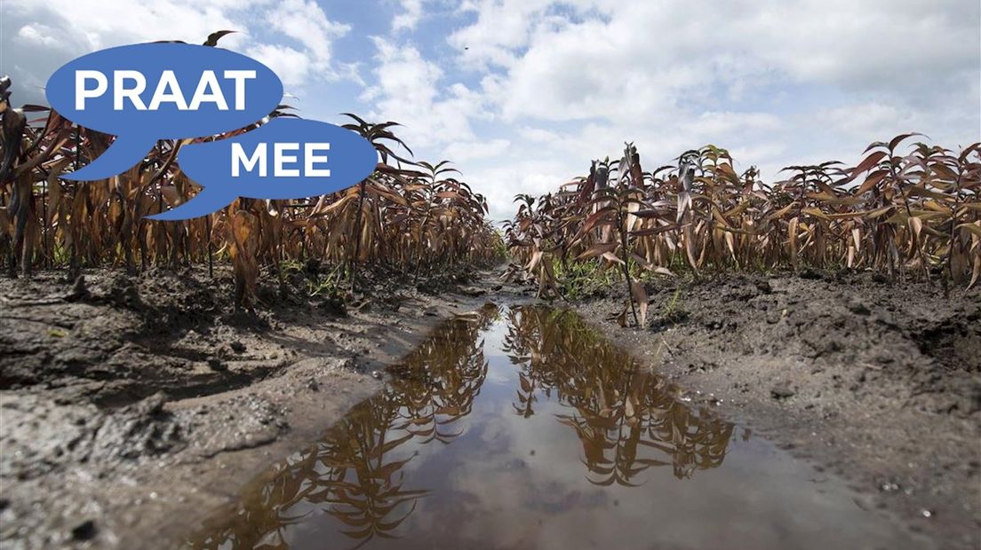 Praat mee: Boeren met schade door noodweer moeten dat 100% vergoed krijgen