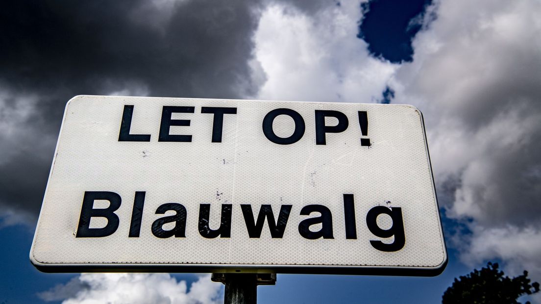 Negatief zwemadvies voor zwemplas Het Hunzedal - RTV Drenthe