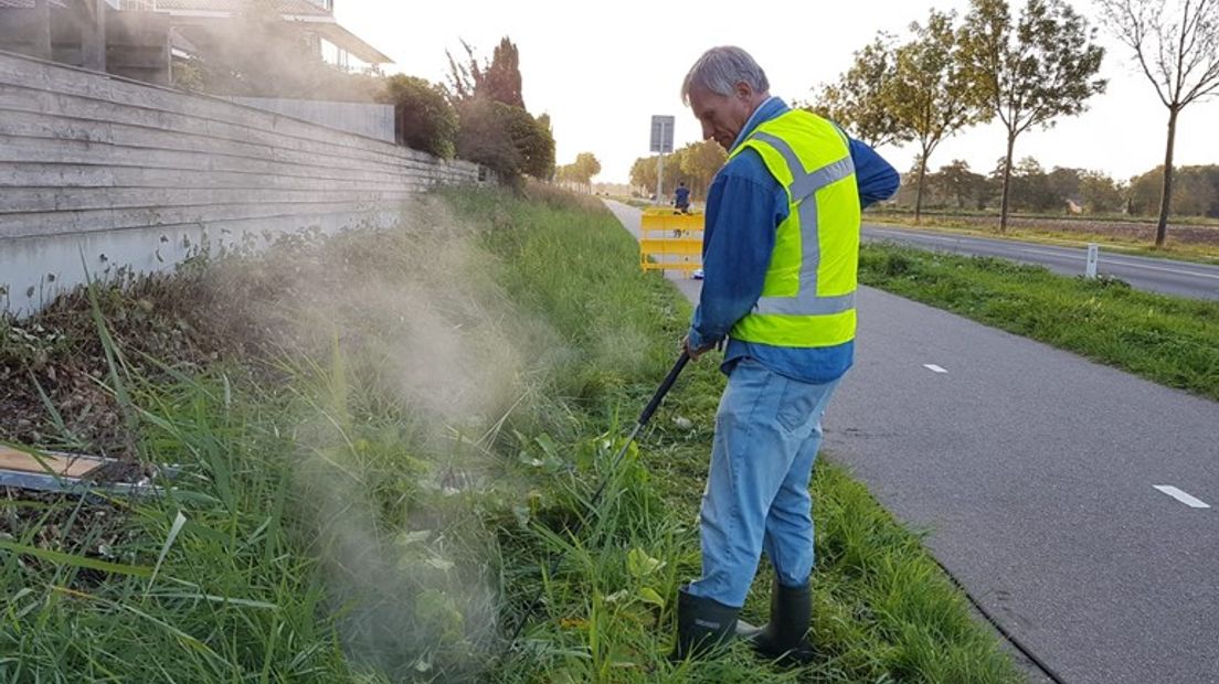 Gemeenten, provincies, waterschappen en terreineigenaren hebben er al jaren buikpijn van: de Japanse duizendknoop. Vandaag komen zo'n 130 groenbeheerders samen in Heelsum om te horen welke methodes er zijn dit woekerende onkruid te lijf te gaan.