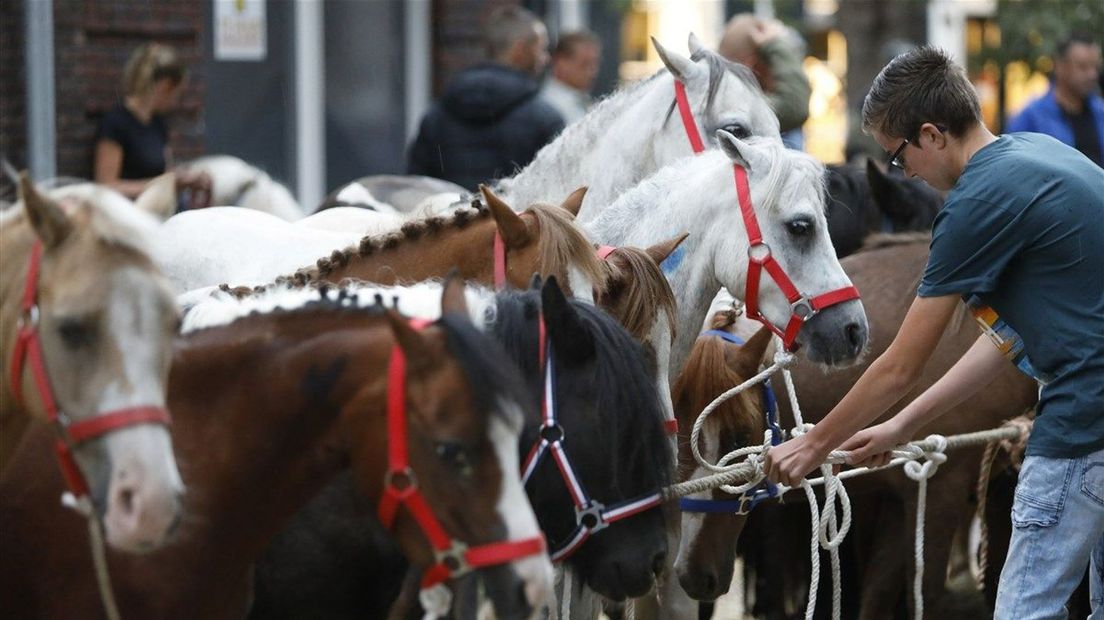 Aangifte tegen Denekamper paarden- en ponymarkt (foto ter illustratie)