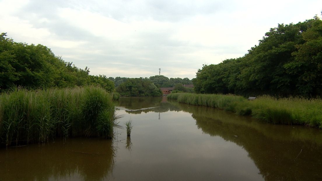Streep door plan grootschalige bouw huisjes in Nollebos (video)