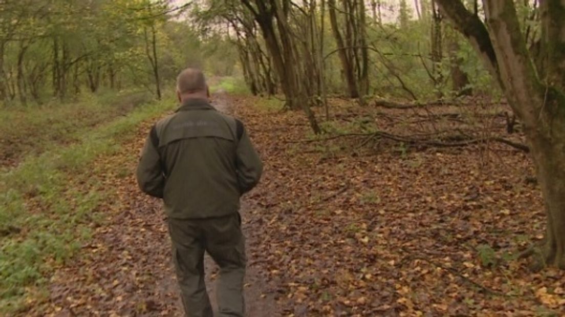 Plan: 5.000 hectare nieuw bos in Zeeuws-Vlaanderen