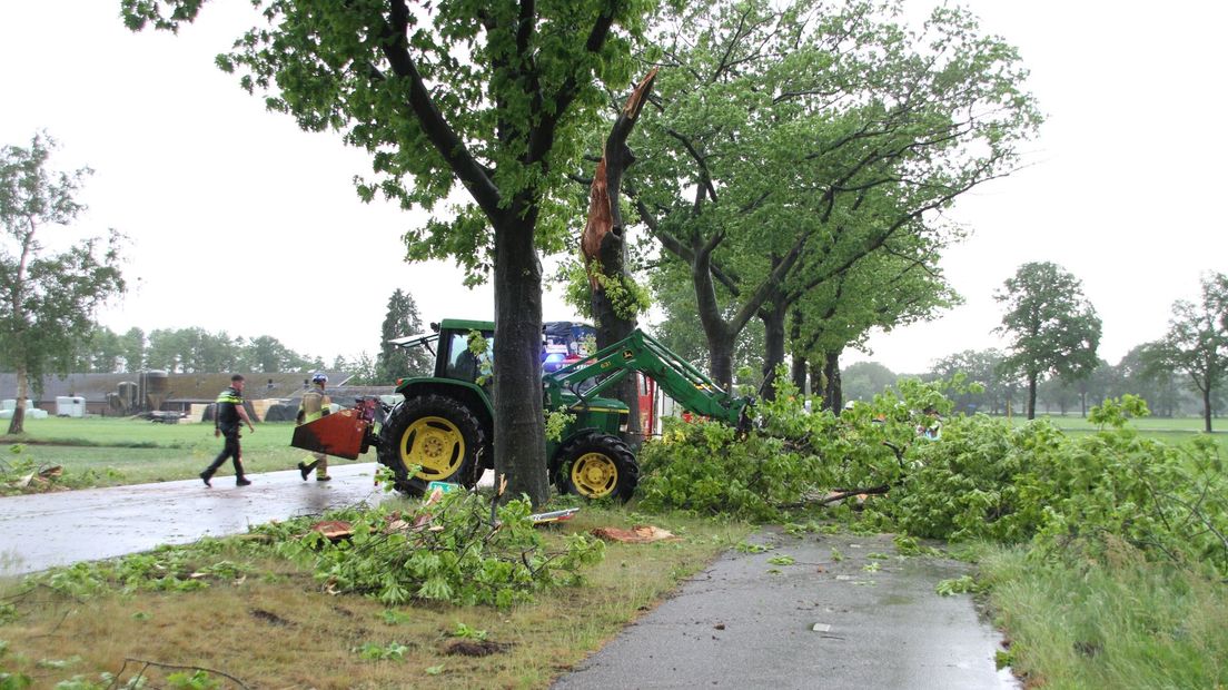 Boom valt boven op vrouw in Diepenheim