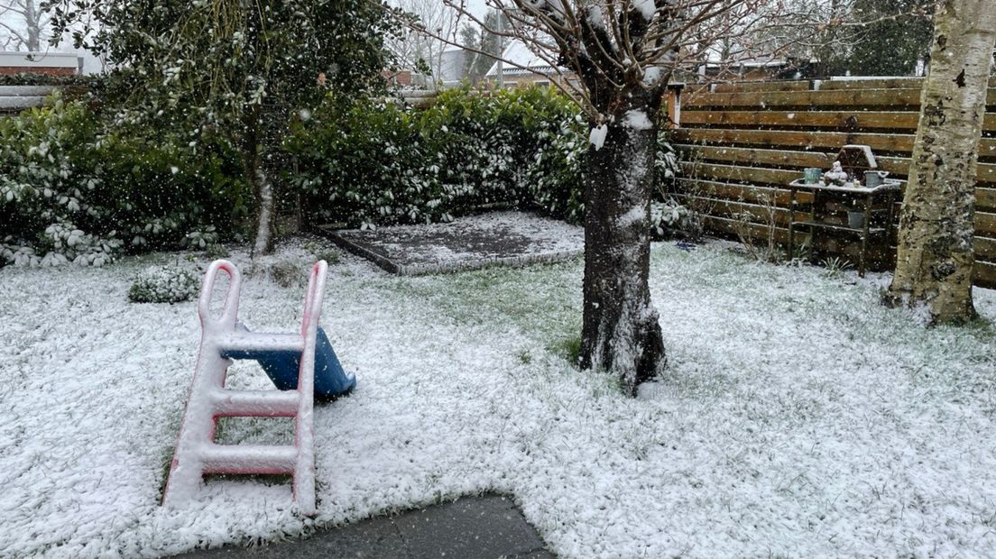 Een besneeuwde tuin in Sauwerd