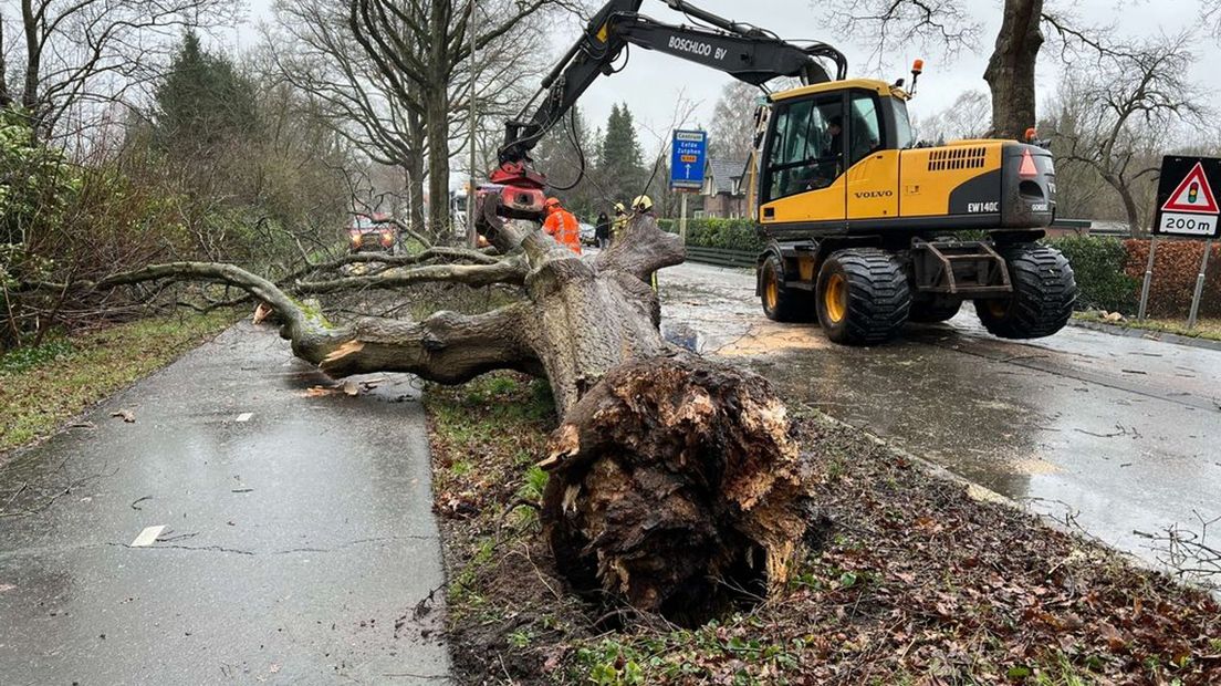 Langs de N348 in Gorssel is een grote boom omgewaaid.