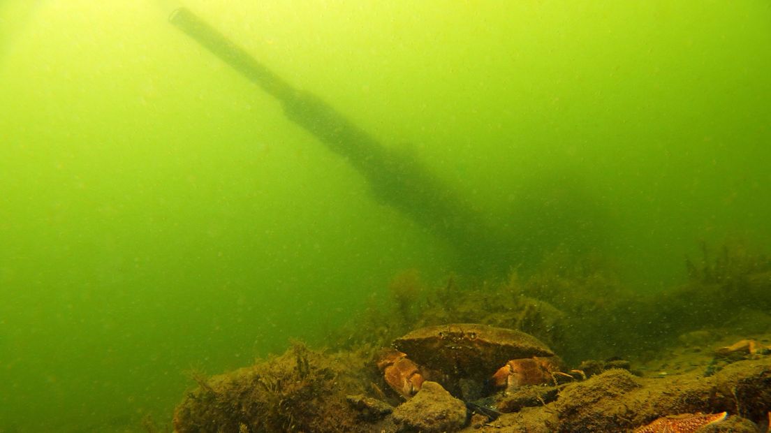 Geschut onder water in Westkapelle