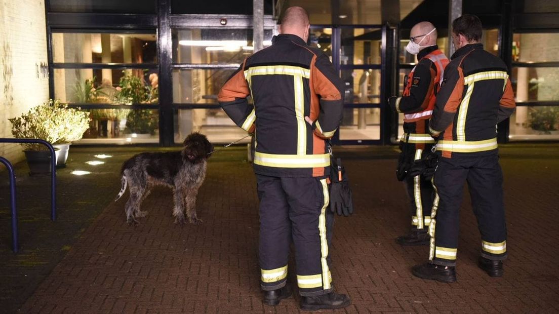 Brandweermannen bij de geredde hond