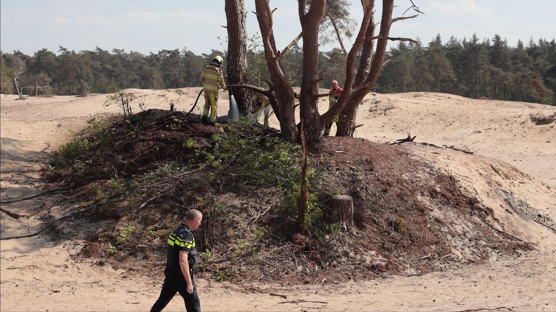 Natuurbrand in Ommen