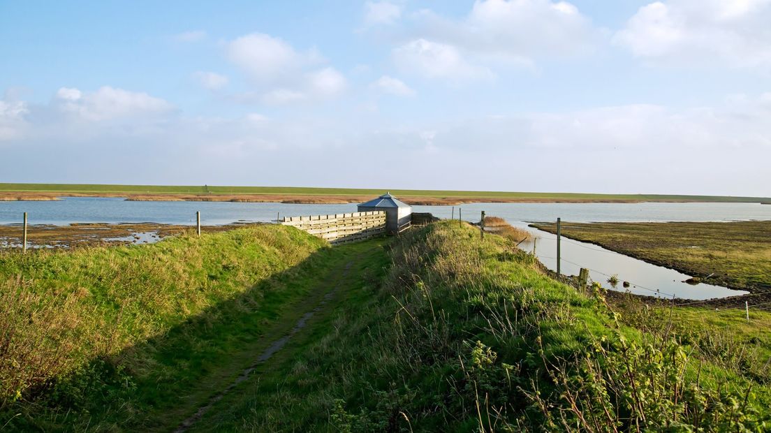 De Breebaartpolder bij Termunten