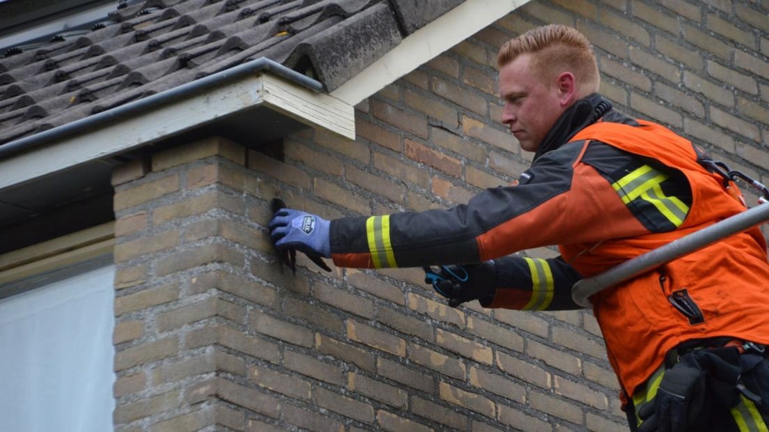 De zwaluw werd door een brandweerman op een hoogwerker gered