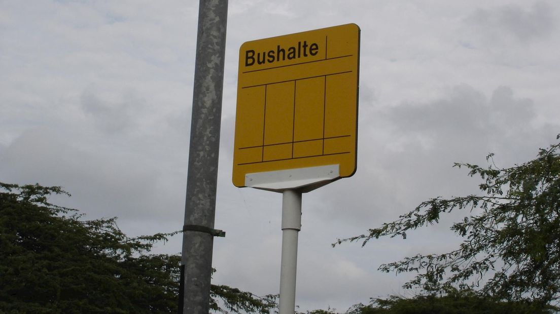 Zo'n 25 geïnteresseerden voor baantje als vrijwillig chauffeur