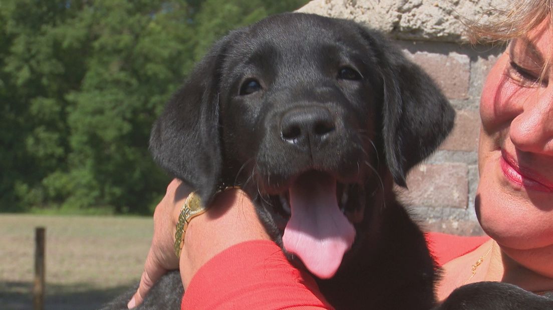 Fokker Gina van Elburg met een van haar pups