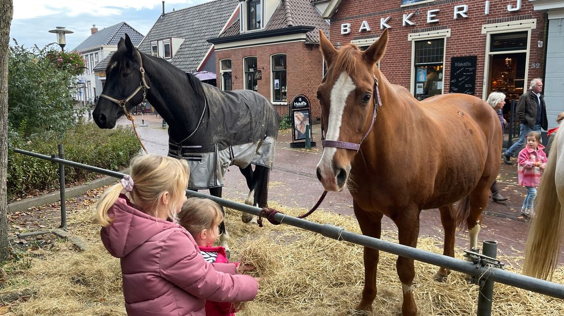 Peerdjes op de Baistemaart