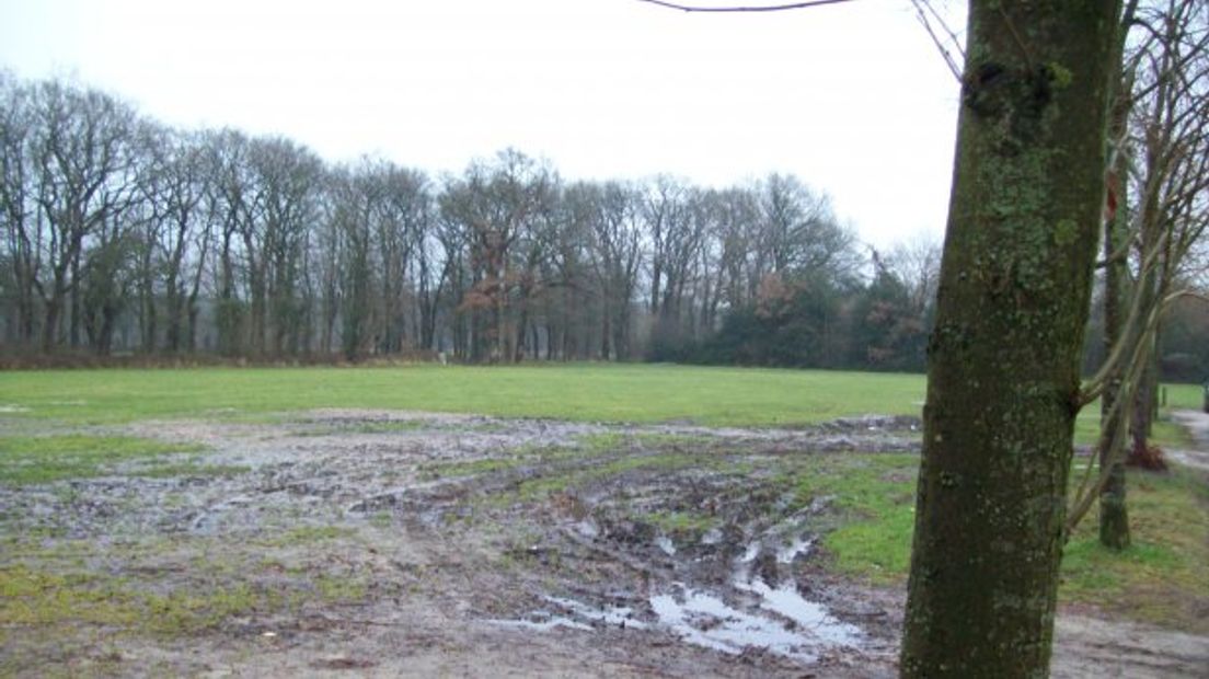 De Brinkhofweide in Norg