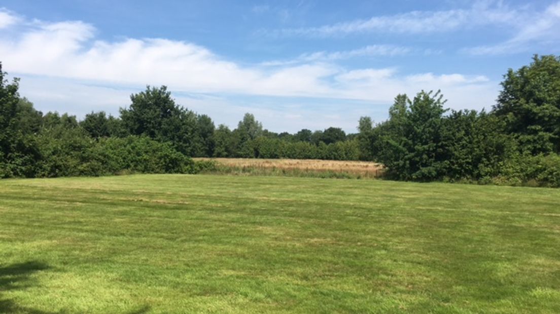 Het groene gebied in Paterswolde Noord, wat actievoerster Annemarie Machielsen nu nog achter haar huis heeft liggen (Rechten: Annemarie Machielsen)