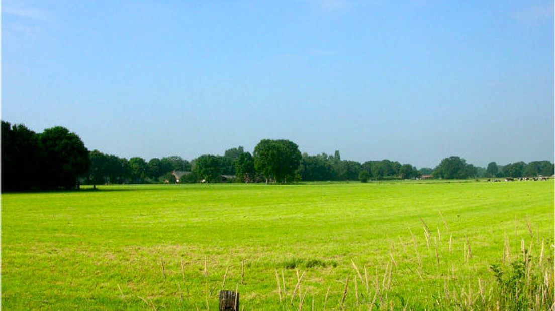 ed9f8a211cf39ca7c125778f002c49bb_wpicture1_1.jpg