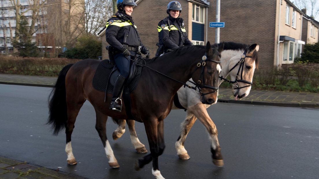 Politie te paard (foto ter illustratie)