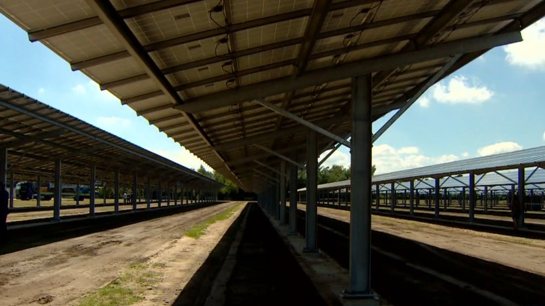 De plannen voor zonneparken schieten als paddenstoelen uit de grond (Rechten: RTV Drenthe)