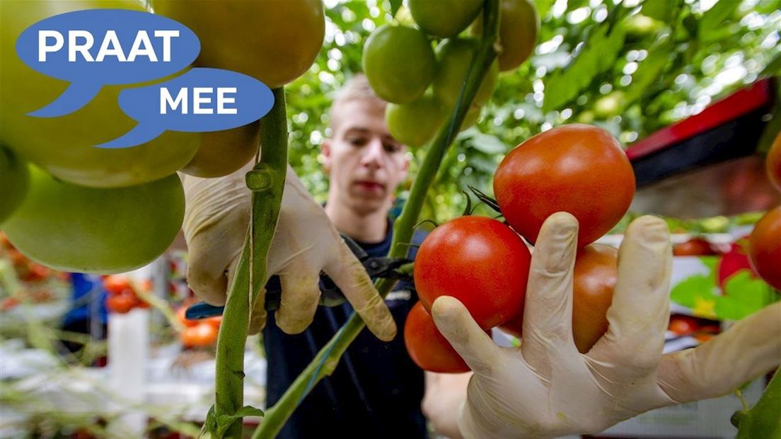 Praat mee: Jongeren klagen terecht over hun vakantiewerk