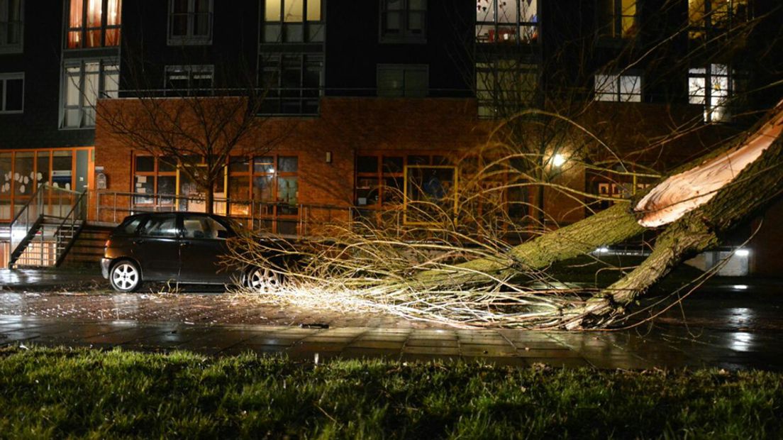In Woerden viel een boom bijna op een auto.