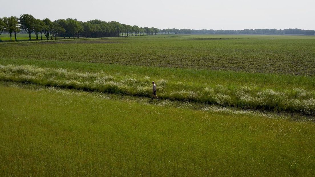 Natuurboer Otto Willem Eleveld loopt langs de keverbank