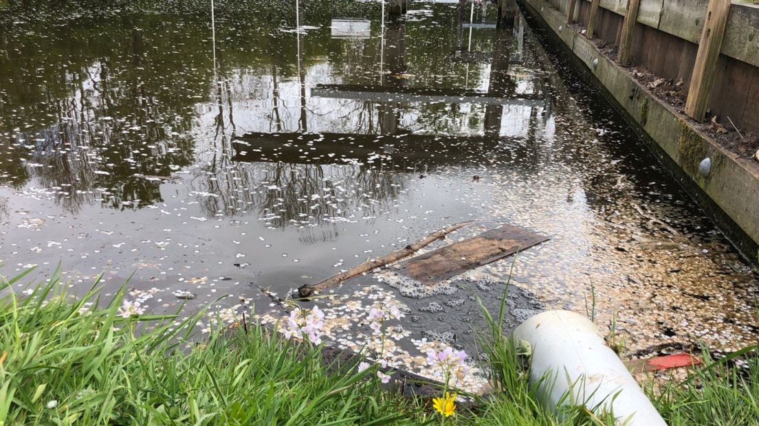 Rotzooi in het water bij de fierljepvereniging